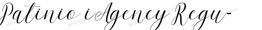 Patinio iAgency Regu字体转换